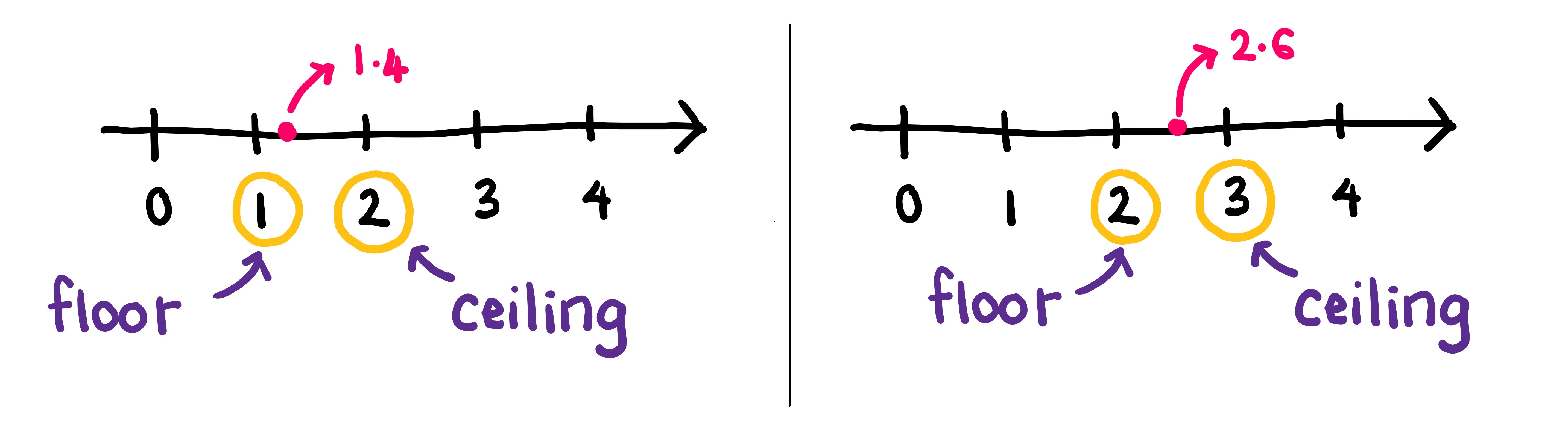 floor and ceiling